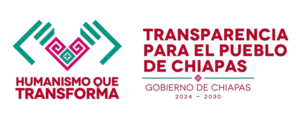 transparecia_ppara_el_pueblo_de_chiapas-removebg-preview